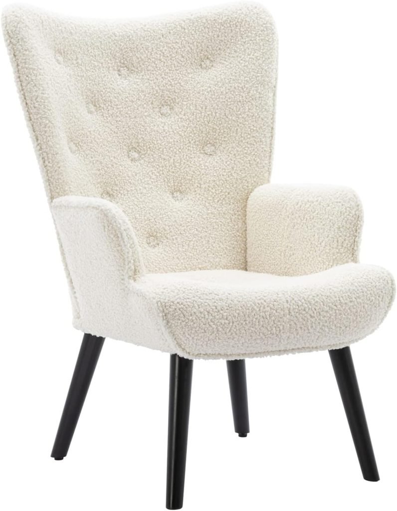 The Dolonm Modern Accent Chair