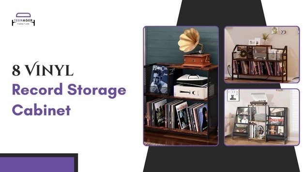 Vinyl Record Storage Cabinet